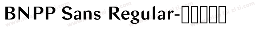 BNPP Sans Regular字体转换